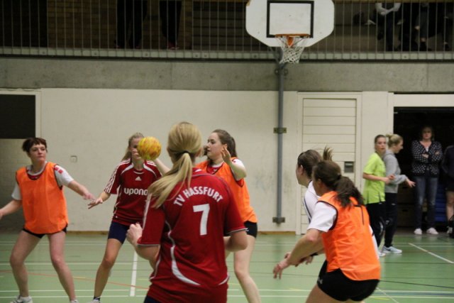 2016_01_17 Landesliga Frauen